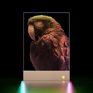 Hammered Glass Portrait Art