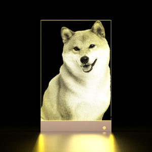 Hammered Glass Portrait Art